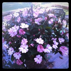 Mompreneur Legit Work From Home Job Listing Book